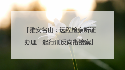 雅安名山：远程检察听证 办理一起行刑反向衔接案